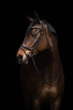 Hot Bridon anatomique Arezzo - - Cuir doux Bridons Et Brides·Bridon Anatomique|Bridons Et Brides·Bridon Cuir