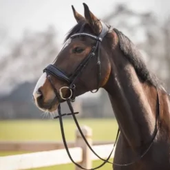 Online Bridon anatomique Skye - - Cuir avec paillettes Bridons Et Brides·Bridon Cuir