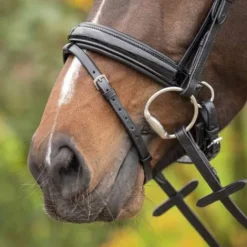 Sale Bridon anatomique sunset vernis - - Cuir verni Bridons Et Brides·Bridon Anatomique|Bridons Et Brides·Bridon Cuir