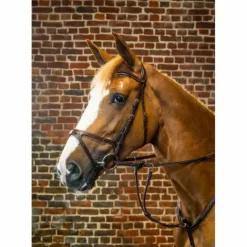 Online Bridon anatomique X-FIT Dy'on Collection - Dy'on Bridons Et Brides·Bridon Anatomique