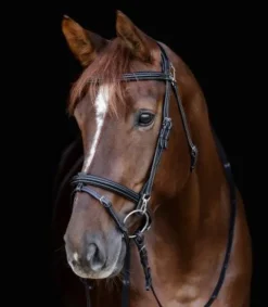 Online Bridon anatomique X-Line Work - - Mousquetons pratiques Bridons Et Brides·Bridon Anatomique|Bridons Et Brides·Bridon Cuir