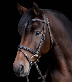 Online Bridon anatomique X-Line Work - - Mousquetons pratiques Bridons Et Brides·Bridon Anatomique|Bridons Et Brides·Bridon Cuir