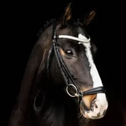 Best Bridon Ballarina Muserolle allemande - Bridons Et Brides·Bridon Cuir