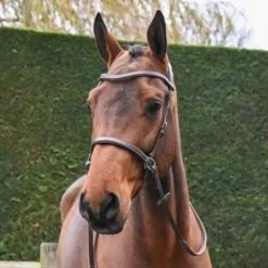 Outlet Bridon Bitless - Collection One - Jump'in Bridons Et Brides·Bridon Licol|Bridons Et Brides·Filet Sans Mors