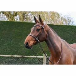 Outlet Bridon Bitless - Collection One - Jump'in Bridons Et Brides·Bridon Licol|Bridons Et Brides·Filet Sans Mors