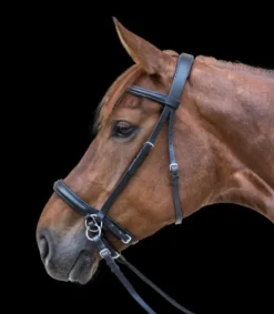 New Bridon bitless two star noir Bridons Et Brides·Bridon Cuir