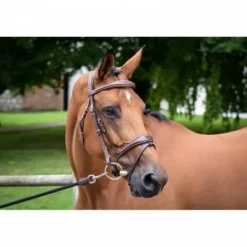 Best Bridon Bruxelles - Collection One - Jump'in Bridons Et Brides·Bridon Licol|Bridons Et Brides·Bridon Cuir