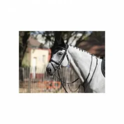 Best Bridon Bruxelles - Collection One - Jump'in Bridons Et Brides·Bridon Licol|Bridons Et Brides·Bridon Cuir