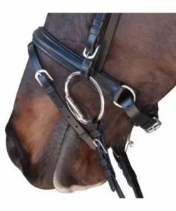 Discount Bridon euro pull back Bridons Et Brides·Bridon Cuir