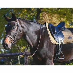 Online Bridon Carat - Collection One Premium - Jump'in Bridons Et Brides·Bridon Licol|Bridons Et Brides·Bridon Cuir