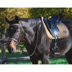 Online Bridon Carat - Collection One Premium - Jump'in Bridons Et Brides·Bridon Licol|Bridons Et Brides·Bridon Cuir