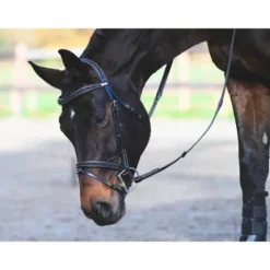 Online Bridon Carat - Collection One Premium - Jump'in Bridons Et Brides·Bridon Licol|Bridons Et Brides·Bridon Cuir