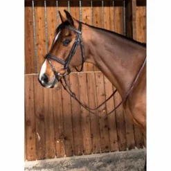 Clearance Bridon classic Dy'on working collection muserolle combinée Bridons Et Brides·Bridon Anatomique