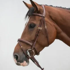 Clearance Bridon classique - - Confort et stabilité Bridons Et Brides·Bridon Cuir