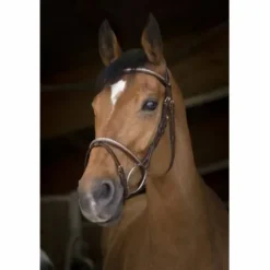 Online Bridon Clincher Rose Gold - Bridons Et Brides·Bridon Cuir