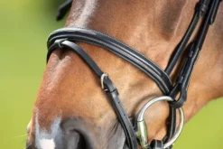 Discount Bridon Comfort Bridons Et Brides·Bridon Cuir