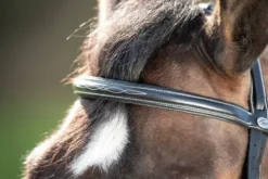 Discount Bridon Comfort Bridons Et Brides·Bridon Cuir