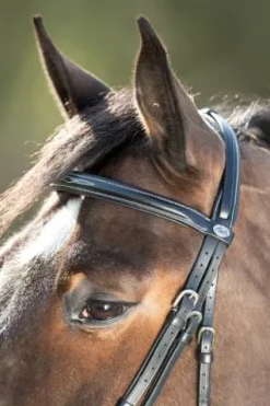 Discount Bridon Comfort Bridons Et Brides·Bridon Cuir
