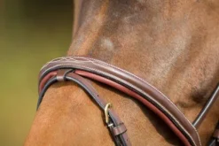 Discount Bridon Comfort Bridons Et Brides·Bridon Cuir