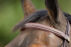 Discount Bridon Comfort Bridons Et Brides·Bridon Cuir