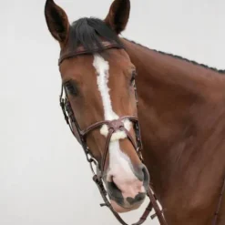 Bridon crossline avec muserolle mexicaine - Bridons Et Brides·Bridon Cuir