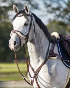 Sale Bridon cuir et mouton ontario Bridons Et Brides·Bridon Licol|Bridons Et Brides·Bridon Cuir