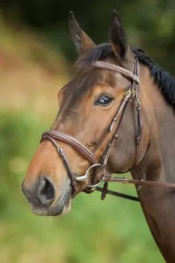 Clearance Bridon cuir Comfort Bridons Et Brides·Bridon Cuir