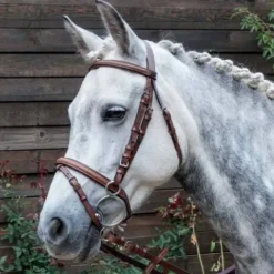 Clearance Bridon cuir Sisley Bridons Et Brides·Bridon Cuir