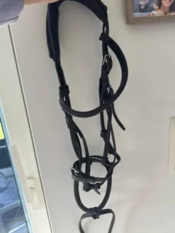 Best Bridon CWD Bridons Et Brides·Bridon Cuir