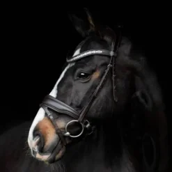 Sale Bridon Danciero - Bridons Et Brides·Bridon Cuir