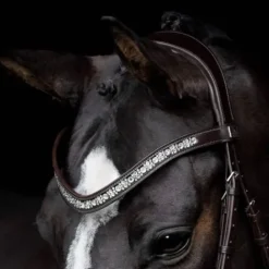 Sale Bridon Danciero - Bridons Et Brides·Bridon Cuir