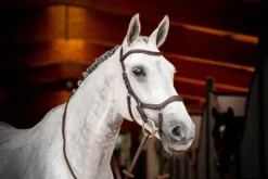 New Bridon de compétition micklem2 - - pour petit cheval Bridons Et Brides·Bridon Cuir