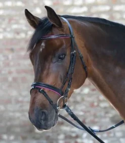 Bridon diamond star Bridons Et Brides·Bridon Cuir