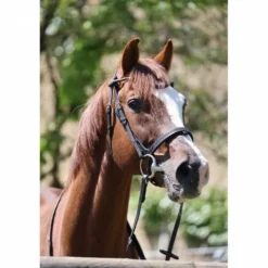 Best Bridon Disco - - Galon noir Bridons Et Brides·Bridon Licol|Bridons Et Brides·Bridon Cuir