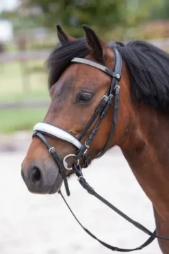 Hot Bridon diva stella Harry's horse Bridons Et Brides·Bridon Cuir
