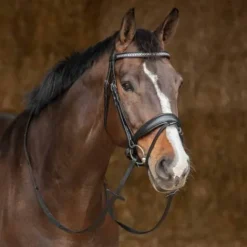 New Bridon Drops - Harry's Horse Bridons Et Brides·Bridon Cuir