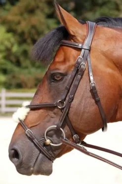 Outlet Bridon Dy'on working collection muserolle mexicaine Bridons Et Brides·Bridon Anatomique|Bridons Et Brides·Bridon Cuir