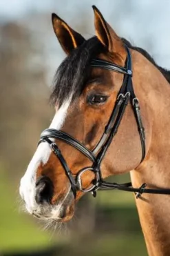 Sale Bridon Elegant Bridons Et Brides·Bridon Cuir