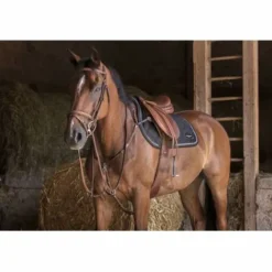 Online Bridon Hybrid Shiny Bridons Et Brides·Bridon Cuir