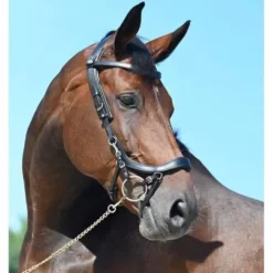 Outlet Bridon Faysport - Bridons Et Brides·Bridon Anatomique|Bridons Et Brides·Bridon Cuir