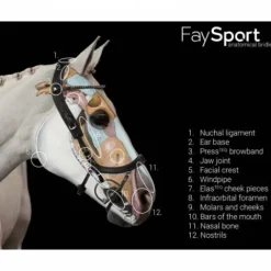 Outlet Bridon Faysport - Bridons Et Brides·Bridon Anatomique|Bridons Et Brides·Bridon Cuir