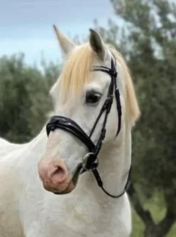 New Bridon filet dressage anatomique muserolle suédois Bridons Et Brides·Bridon Anatomique|Bridons Et Brides·Bridon Cuir