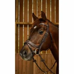 Discount Bridon Fit de la Working Collection - Dy'on Bridons Et Brides·Bridon Anatomique