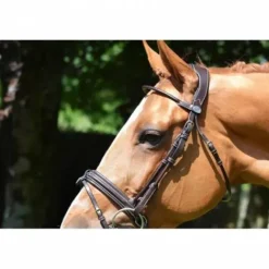 Online Bridon Friday muserolle combinée - Collection week - Bridons Et Brides·Bridon Cuir