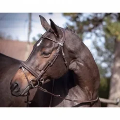 Online Bridon Friday muserolle combinée - Collection week - Bridons Et Brides·Bridon Cuir