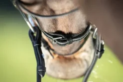 Outlet Bridon Functional Bridons Et Brides·Bridon Cuir