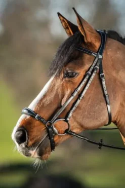 Sale Bridon German muserolle allemande Bridons Et Brides·Bridon Cuir