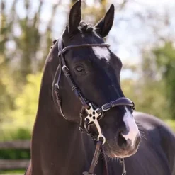 Online Bridon Hackamore - Collection week - Bridons Et Brides·Bridon Licol|Bridons Et Brides·Bridon Cuir