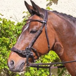 Online Bridon Hackamore - Collection week - Bridons Et Brides·Bridon Licol|Bridons Et Brides·Bridon Cuir