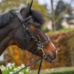 New Bridon Hackamore - Collection One Premium - Jump'In - Cuir italien Mors Et Embouchures